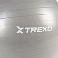 TREXO Gymball TXO-B4Z008-GY 65 cm grey 5