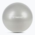 XTREXO Gymball TXO-B4Z009-GY 75 cm grey