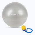 XTREXO Gymball TXO-B4Z009-GY 75 cm grey 7