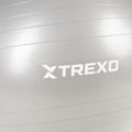 XTREXO Gymball TXO-B4Z009-GY 75 cm grey 6