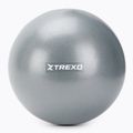 TREXO mini gymnastics ball TXO-B4Z010-GY 20 cm grey