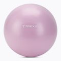 XTREXO mini gymnastics ball TXO-B4Z011-VT 25 cm purple