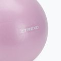 XTREXO mini gymnastics ball TXO-B4Z011-VT 25 cm purple 3
