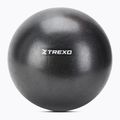 TREXO mini gymnastics ball TXO-B4Z011-BK 25 cm black