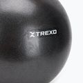 TREXO mini gymnastics ball TXO-B4Z011-BK 25 cm black 2