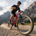 ATTABO men's mountain bike ALPE 1.0 19" red 5