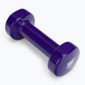 Bauer Fitness vinyl dumbbell 2 kg AC-1403 2