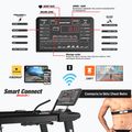 Electric treadmill XEBEX SledTrac 6000 black 10