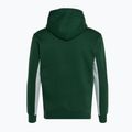 Men's PROSTO Hoodie Quazz green 5