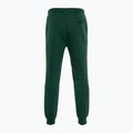 PROSTO men's trousers Digo green 2