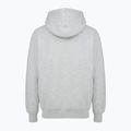 Men's PROSTO Hoodie Aiz gray 2