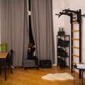 BenchK gymnastics ladder black BK-231B 2