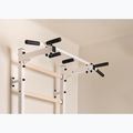 BenchK 222W white matte/oak gymnastics ladder 7