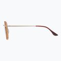 GOG Elektra matt brown demi/gold sunglasses 3