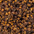 Carp Target grain mix Maize-Congo-Rubber 33% + Bucket 10 l 5