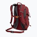 Hiking backpack Alpinus Teide 24 l burgund 2