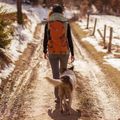 Hiking backpack Alpinus Teno 24 l orange 3