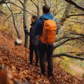 Hiking backpack Alpinus Teno 24 l orange 5
