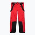 Men's ski trousers 4F 2