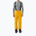 Men's ski trousers 4F Fnk M1086 yellow
