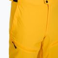 Men's ski trousers 4F Fnk M1086 yellow 7