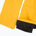 Men's ski trousers 4F Fnk M1086 yellow 9