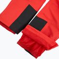 Men's ski trousers 4F Fnk M1155 red 5