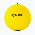 Reflex balls StormCloud Reflex Ball Duo yellow/black 3