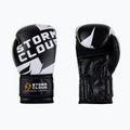 Boxing gloves StormCloud Bolt 3.0 black/white