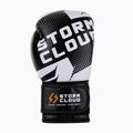 Boxing gloves StormCloud Bolt 3.0 black/white 4