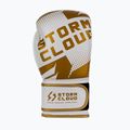Boxing gloves StormCloud Bolt 3.0 white/gold 4