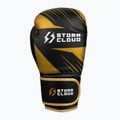 Boxing gloves StormCloud Lynx 2.0 black/gold 4