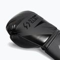 Boxing gloves StormCloud Lynx 2.0 black/black 6
