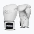 Boxing gloves StormCloud Muay Thai Blizzard 2.0 white/silver