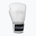 Boxing gloves StormCloud Muay Thai Blizzard 2.0 white/silver 2