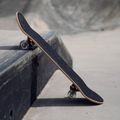 Mechanics professional classic skateboard SPIDER 31 blue Pro-SP31 9
