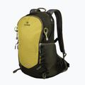 Hiking backpack Alpinus Anayet 25 l limonkowy/green