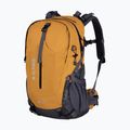 Hiking backpack Alpinus Tarfala 35 l mustard