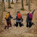 Hiking backpack Alpinus Tarfala 35 l mustard 4