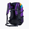 Hiking backpack Alpinus Retba 30 l multicolor 2