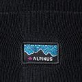 Winter hat Alpinus Dunree black 2