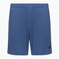 Children's shorts 4F The Gym Power FNK M1388 navy