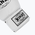 Boxing gloves WINDY Classic Synthetic Leather white 6