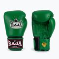 Boxing gloves RAJA BOXING Single Standard Genuine Leather green