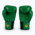 Boxing gloves RAJA BOXING Single Standard Genuine Leather green 3
