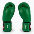 Boxing gloves RAJA BOXING Single Standard Genuine Leather green 4