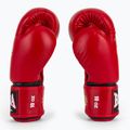 Boxing gloves RAJA BOXING Single Standard Genuine Leather red 4