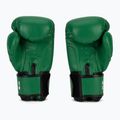Boxing gloves RAJA BOXING Single Semi Leather green 3