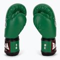 Boxing gloves RAJA BOXING Single Semi Leather green 4
