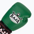 Boxing gloves RAJA BOXING Single Semi Leather green 5